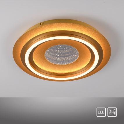 JUST LIGHT. 15089-60 - Lámpara de techo LED CICHIO LED/36W/230V Ø 40 cm dorada