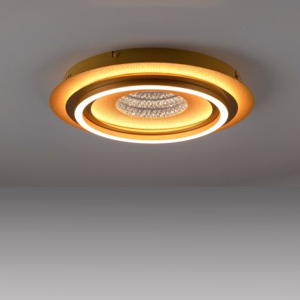 JUST LIGHT. 15089-60 - Lámpara de techo LED CICHIO LED/36W/230V Ø 40 cm dorada