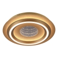 JUST LIGHT. 15089-60 - Lámpara de techo LED CICHIO LED/36W/230V Ø 40 cm dorada