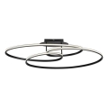 JUST LIGHT. 15321-18 - Plafón LED LUMACA LED/33W/230V negro
