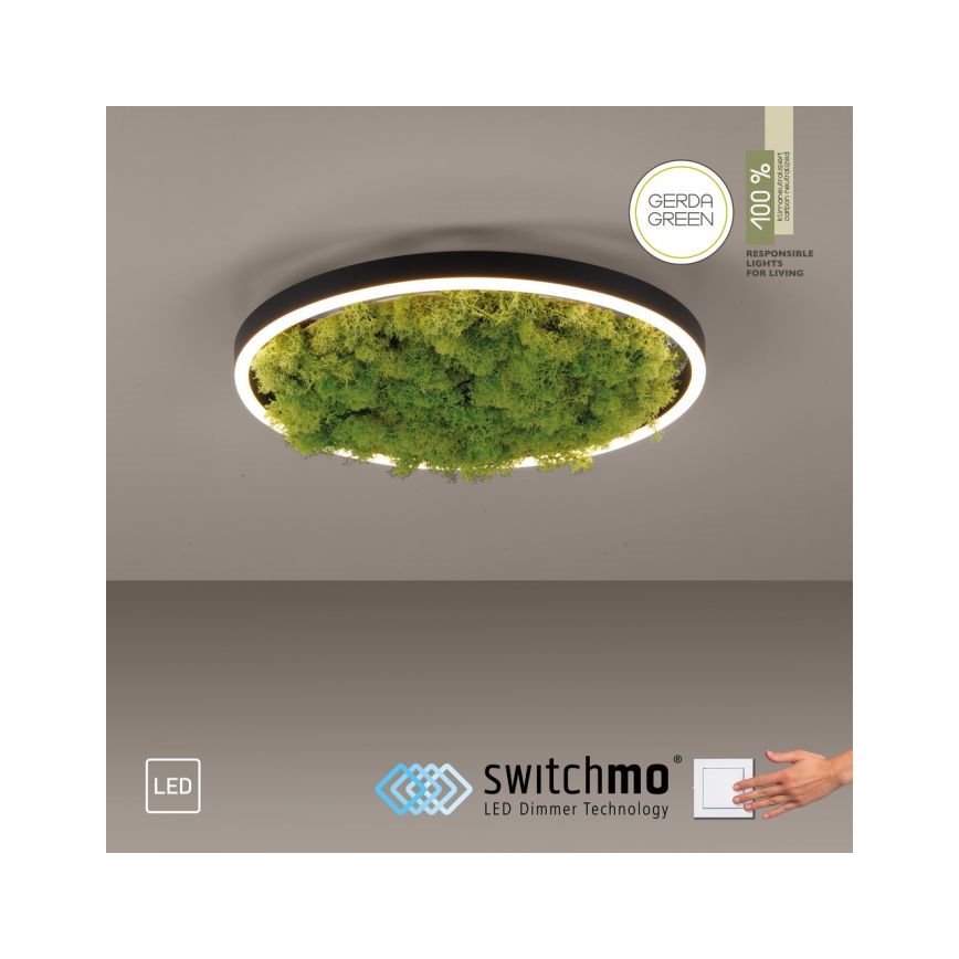 JUST LIGHT. 15391-66 - Plafón LED regulable VERDE RITU LED/20W/230V