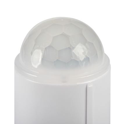 Lámpara de techo LED con sensor de movimiento y de crepúsculo FOGLER LED/24W/230V Ø 38 cm