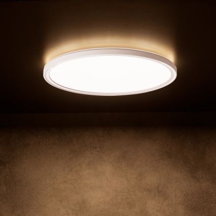 Lámpara LED de techo AZPO LED/11,8W/230V 3000/4000/6000K Ø 22,5 cm IP54 blanco