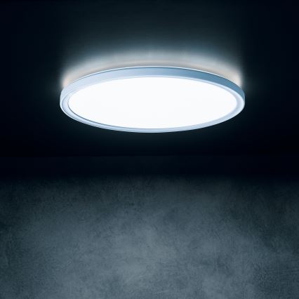 Plafón LED AZPO, 22W/230V, 3000/4000/6000K, Ø 42 cm, IP54, blanco