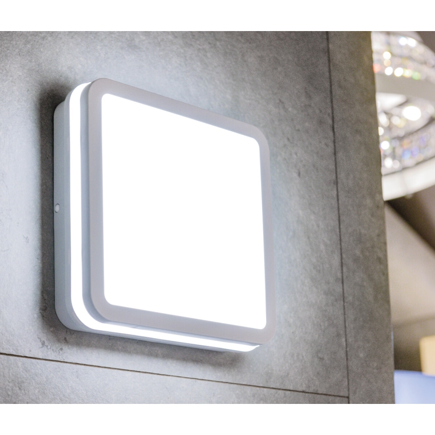 LED Plafón exterior con sensor BENO LED/24W/230V 4000K IP54 blanco