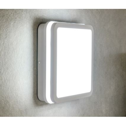LED Plafón exterior con sensor BENO LED/24W/230V 4000K IP54 blanco
