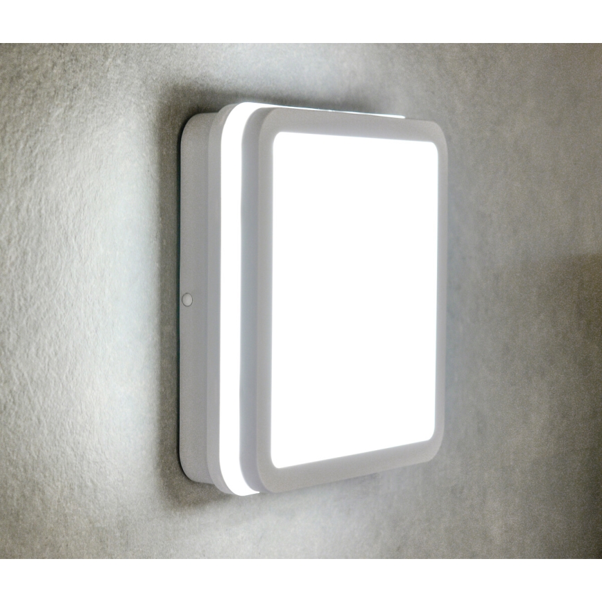 LED Plafón exterior con sensor BENO LED/24W/230V 4000K IP54 blanco