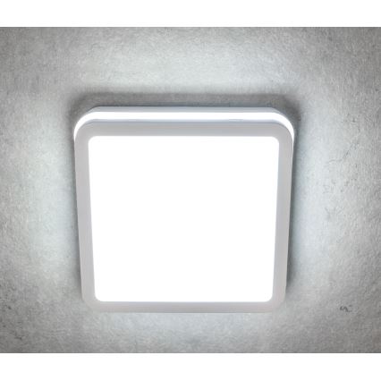 LED Plafón exterior con sensor BENO LED/24W/230V 4000K IP54 blanco