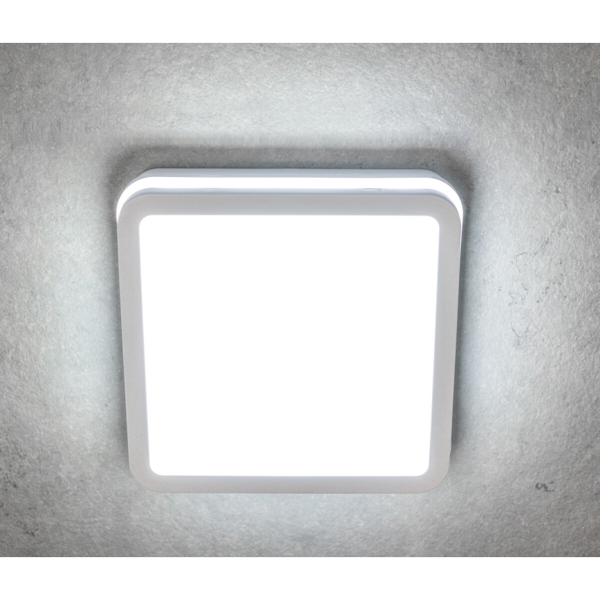 LED Plafón exterior con sensor BENO LED/24W/230V 4000K IP54 blanco