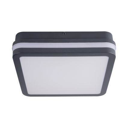 Luminaria LED de exterior BENO LED/24W/230V 4000K antracita IP54