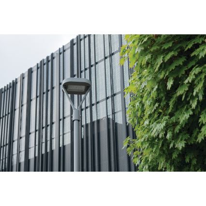 Farola LED PARCOLI LED/30/40/50W/230V 3000/4000/6500K IP66 gris