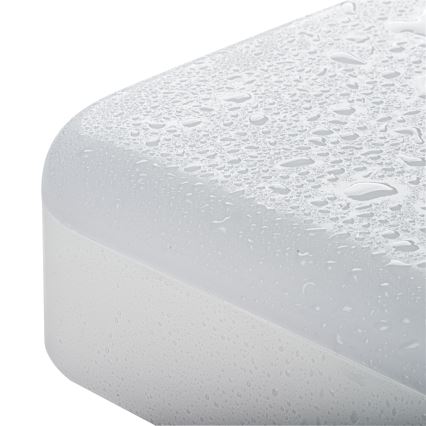 Plafón LED técnico IPER LED/19W/230V IK10 IP65 cuadrado blanco