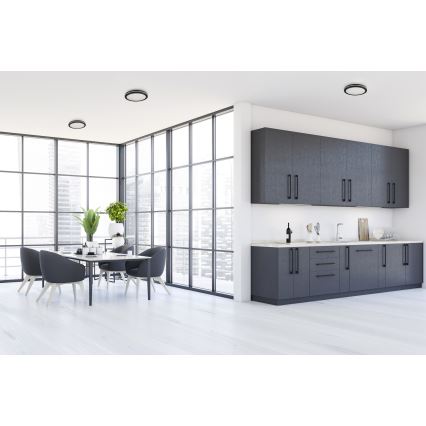 Plafón LED de exterior BENO ECO LED/30W/230V 3000/4000/6500K diá. 30 cm IP65 negro