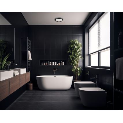 Plafón LED de exterior BENO ECO LED/30W/230V 3000/4000/6500K diá. 30 cm IP65 negro