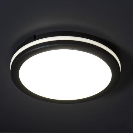 Plafón LED de exterior BENO ECO LED/30W/230V 3000/4000/6500K diá. 30 cm IP65 negro