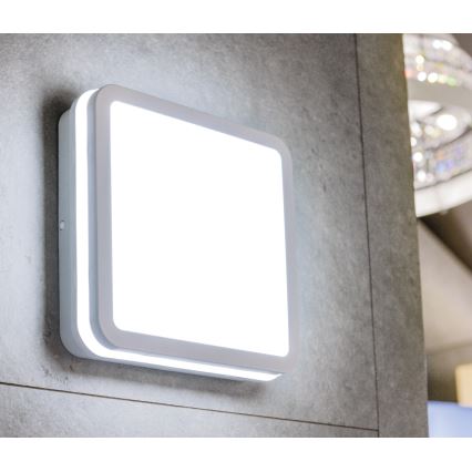 Plafón LED de exterior con sensor de movimiento BENO LED/12/18W/230V 3000/3500/4000K IP65 blanco cuadrado