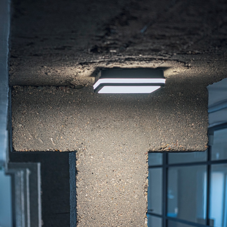 Plafón LED de exterior con sensor de movimiento BENO LED/12/18W/230V 3000/3500/4000K IP65 antracita cuadrado