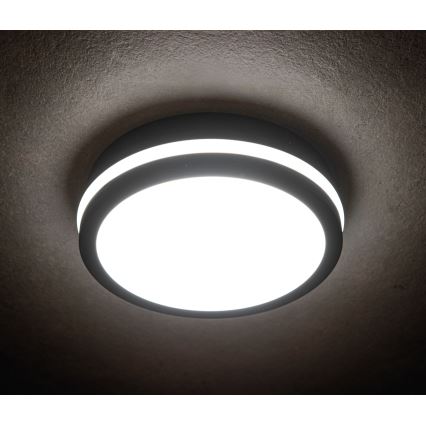 Plafón LED de exterior BENO LED/12/18W/230V 3000/3500/4000K IP65 antracita redondeado