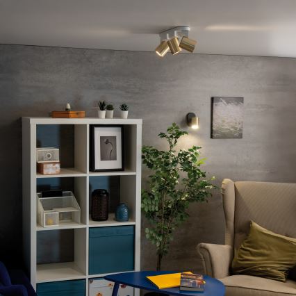 Foco de pared LAURIN 1xGU10/10W/230V latón/negro