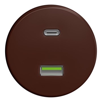Kliklap - Enchufe USB vintage A+C sin marco marrón