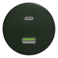 Kliklap - Enchufe USB vintage A+C sin marco verde
