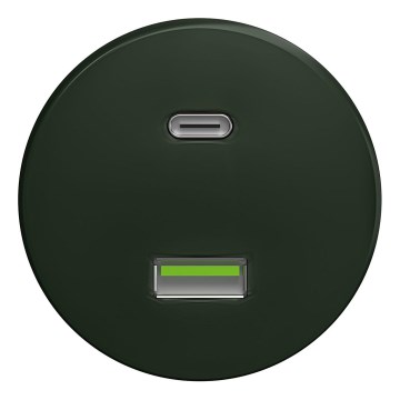 Kliklap - Enchufe USB vintage A+C sin marco verde