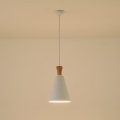Lámpara colgante 1xE27/15W/230V blanco diá. 20 cm