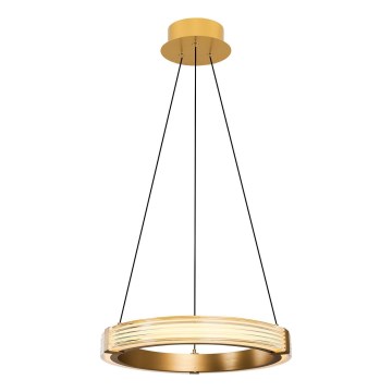 Lámpara colgante con cable JESI LED/22W/230V 3000K Ø 40 cm dorada