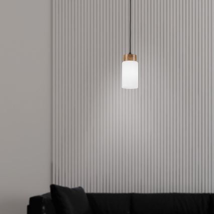 Lámpara colgante con cable MARKUS 1xE27/15W/230V negro/roble