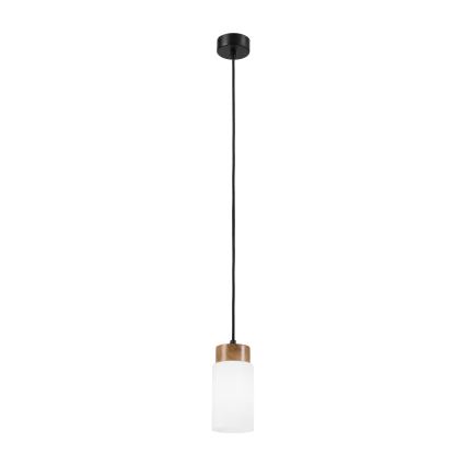 Lámpara colgante con cable MARKUS 1xE27/15W/230V negro/roble