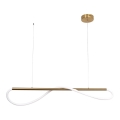 Lámpara colgante con cable MELECA LED/24W/230V 3000/4000/6000K 100 cm dorada