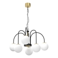 Lámpara colgante con cadena CAMBRIDGE 6xE14/60W/230V negro/latón