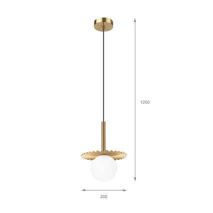 Lámpara colgante de cable CHITA 1xG9/5W/230V dorada