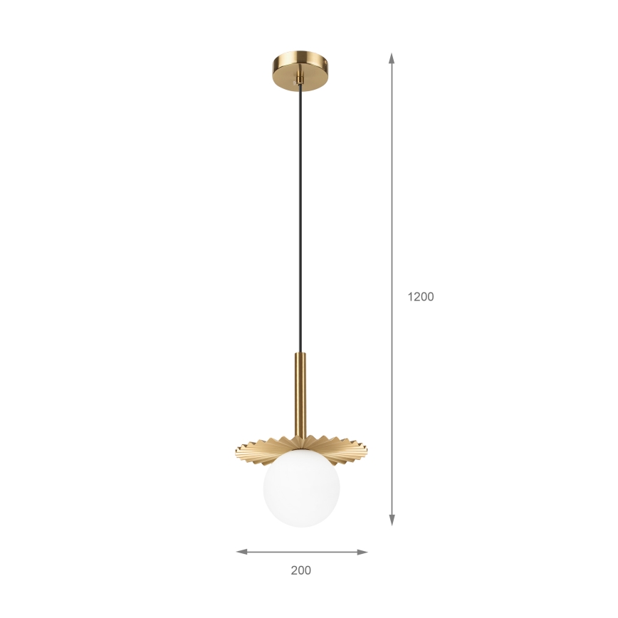 Lámpara colgante de cable CHITA 1xG9/5W/230V dorada