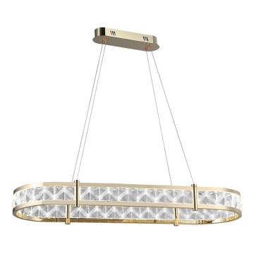 Lámpara colgante de cristal LED regulable en cable ENRIQUE LED/50W//230V 3000-6000K + mando a distancia
