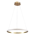 Lámpara colgante en cable DIANA LED/25W/230V 4000K Ø 50 cm dorada