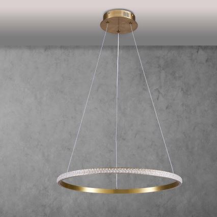 Lámpara colgante en cable DIANA LED/25W/230V 4000K Ø 50 cm dorada