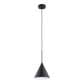 Lámpara colgante FABO 1xE27/15W/230V negro