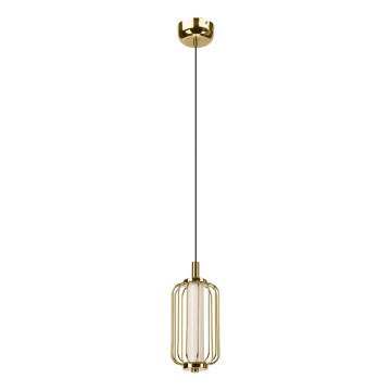 Lámpara colgante LED con cable BONNIE LED/10W/230V 3000K dorada