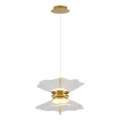 Lámpara colgante LED con cable BUTTERFLY 2xLED/10W/230V 3000K dorada
