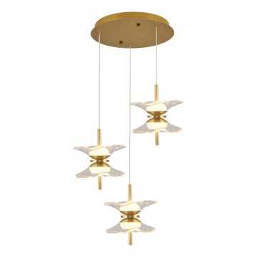 Lámpara colgante LED con cable BUTTERFLY 6x LED/5W/230V 3000K dorada