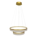 Lámpara colgante LED con cable GALA LED/54W/230V Ø 60 cm dorada