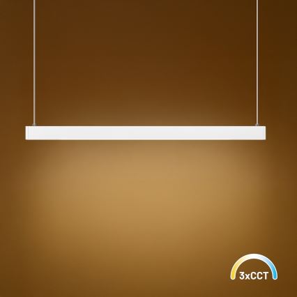 Lámpara colgante LED con cable LINEA LED/36W/230V 3000/4000/5700K CRI 90 blanca