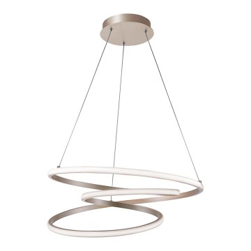 Lámpara colgante LED en cable CORT LED/40W/230V plateada