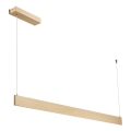 Lámpara colgante LED en cable LINEA LED/36W/230V 3000/4000/5700K CRI 90 dorada