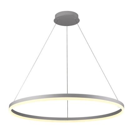 Lámpara colgante LED regulable con cable LED/55W/230V 3000-6500K Ø 80 cm + mando a distancia