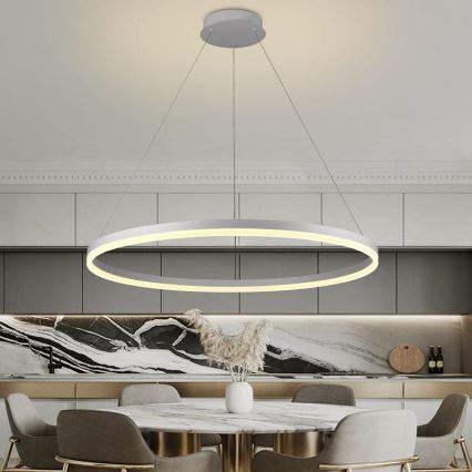 Lámpara colgante LED regulable con cable LED/55W/230V 3000-6500K Ø 80 cm + mando a distancia