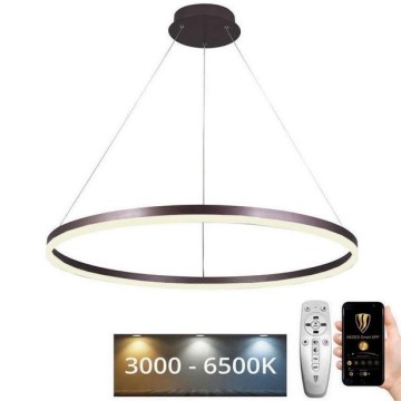 Lámpara colgante LED regulable con cable LED/55W/230V 3000-6500K Ø 80 cm + mando a distancia
