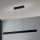 Lámpara colgante LED regulable en cable TARA LED/44W/230V 2700/3800/4500/5700K negro