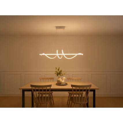 Lámpara colgante LED regulable suspendida por cable LED/50W/230V 3000-6500K 100 cm + mando a distancia